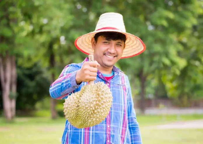 Vietnam Durian Export Compliance